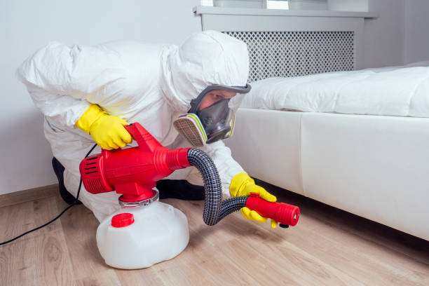 Best Insect Control  in Newell, WV