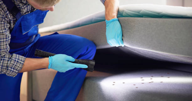 Best Flea Control Services  in Newell, WV