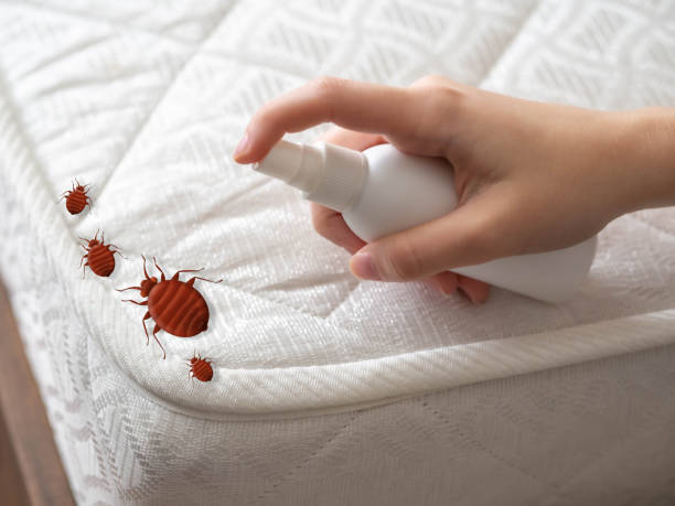 Trusted Newell, WV Pest Control Experts