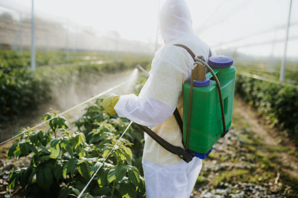 Best Exterminator Services  in Newell, WV